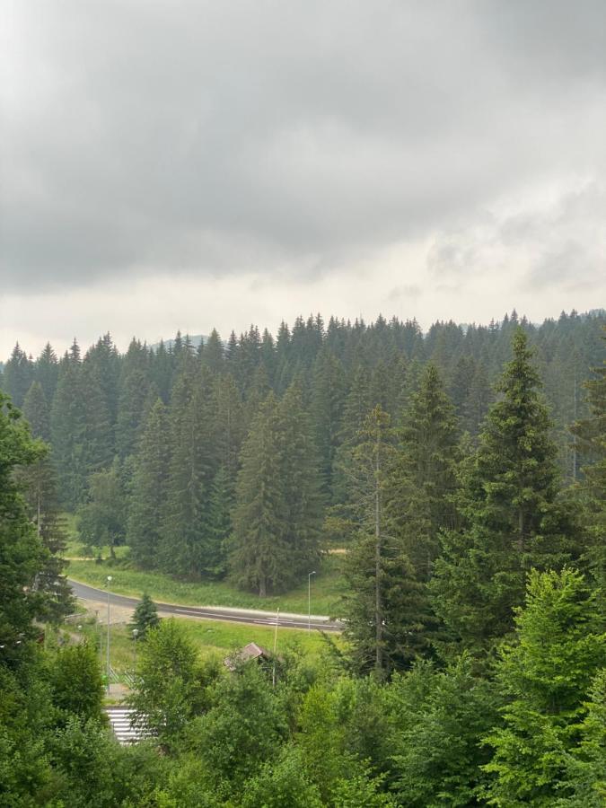 Silver Mountain C24 Royal Poiana Braşov Dış mekan fotoğraf